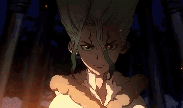 Dr. Stone
